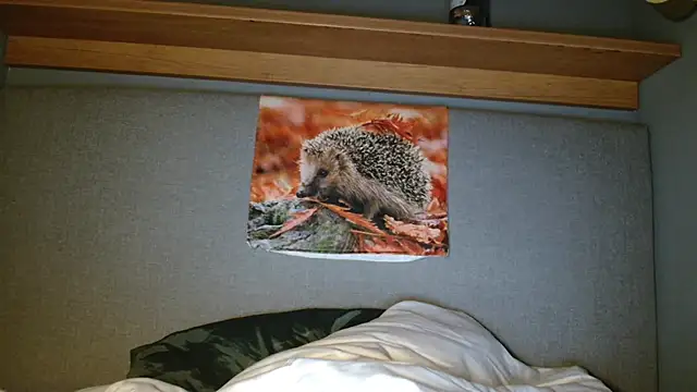 Snapshot of Saysay-7 chatting on October 5, 5:33 pm Saysay-7 online show from October 5, 5:33 pm