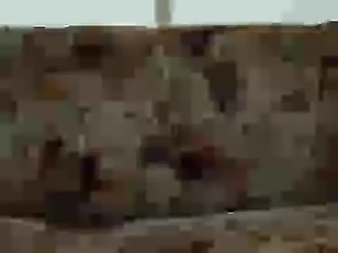 Snapshot of priya_patel chatting on September 12, 7:19 am priya patel online show from September 12, 7:19 am