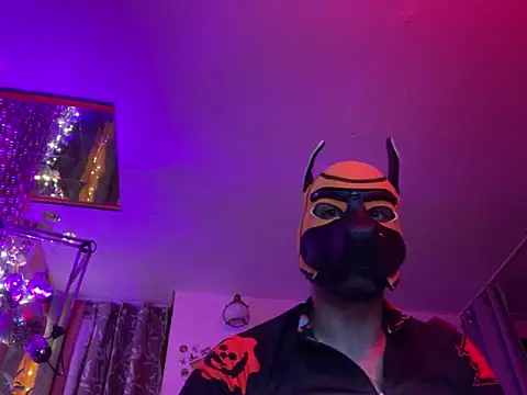 danix wild wolf online show from December 20, 4:30 am