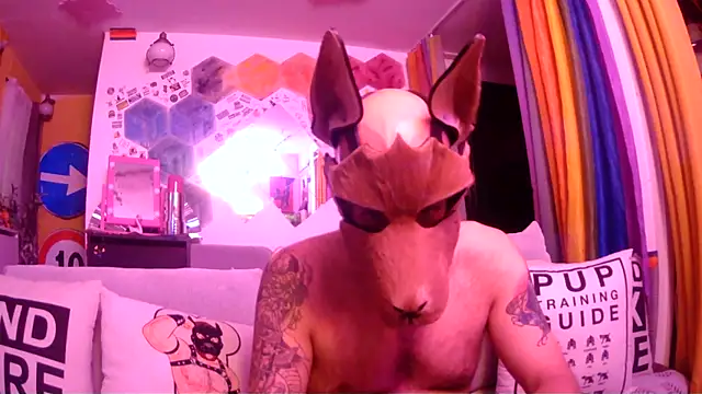 danix wild wolf online show from May 31, 11:06 pm