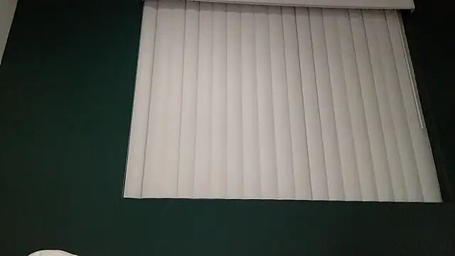 Snapshot of TheDaddy005 chatting on March 7, 2:36 am TheDaddy005 online show from March 7, 2:36 am