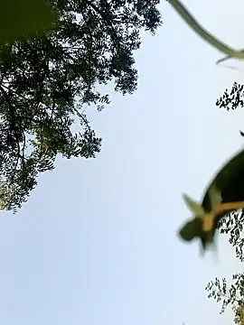 Snapshot of himvilohi08 chatting on October 22, 10:26 am himvilohi08 online show from October 22, 10:26 am