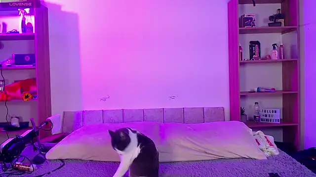 Soy mangx online show from January 11, 3:00 am