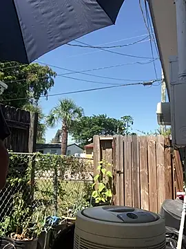 anthonyroth online show from March 21, 5:56 pm