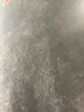 anthonyroth online show from November 6, 8:54 pm