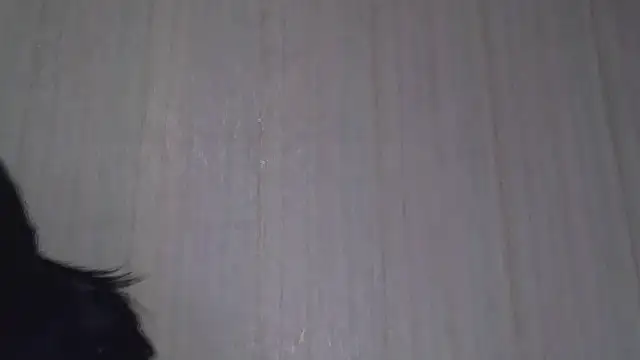  Black-Panther  online show from October 20, 8:26 am