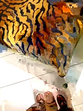 Snapshot of Dglo0000 chatting on February 28, 4:46 am Dglo0000 online show from February 28, 4:46 am