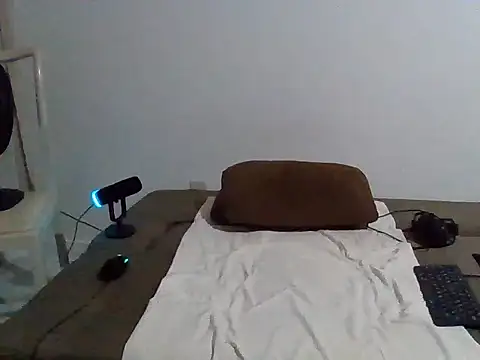 Snapshot of Mdbisc8 chatting on November 7, 3:28 am Mdbisc8 online show from November 7, 3:28 am