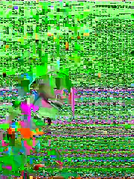 HenriquePhn online show from February 6, 3:00 am