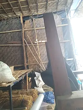 hot integer online show from February 21, 2:56 am