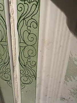 Snapshot of dilu98 chatting on March 18, 1:42 pm dilu98 online show from March 18, 1:42 pm