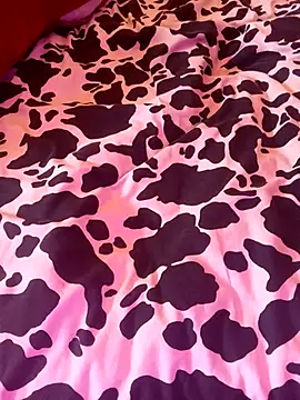 chahoda246 online show from January 8, 10:39 am