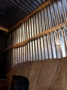 Thenaughtyboy360 online show from December 21, 10:06 pm