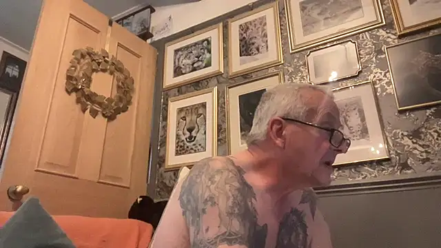 poggles online show from November 29, 12:41 pm