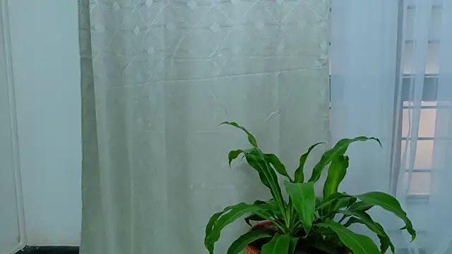 Snapshot of EbonyHorrny chatting on September 15, 12:16 pm EbonyHorrny online show from September 15, 12:16 pm