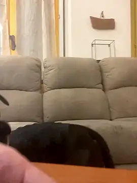 BestSexForYou online show from January 16, 2:15 am