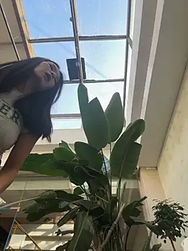 Ninazhang online show from November 11, 1:38 am