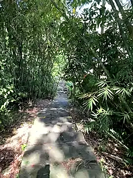 Snapshot of zack23088 chatting on October 18, 2:03 am zack23088 online show from October 18, 2:03 am