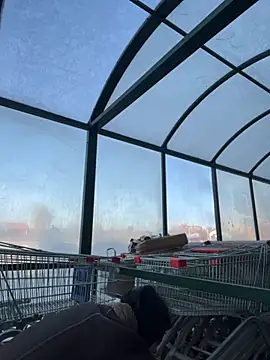 Snapshot of MiraReach chatting on October 15, 4:34 am MiraReach online show from October 15, 4:34 am