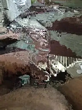 desiboyarya online show from March 10, 6:02 pm