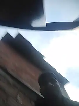 ashtoncooperr online show from December 22, 11:29 am