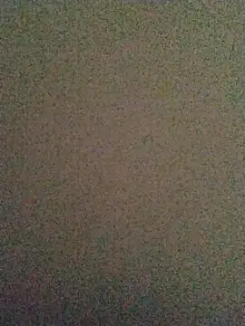 Snapshot of LeoMaduroSP chatting on November 19, 10:59 am LeoMaduroSP online show from November 19, 10:59 am