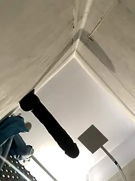 Snapshot of BobKat chatting on November 15, 8:55 am BobKat online show from November 15, 8:55 am