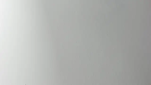 Lady miss    online show from November 6, 12:17 pm