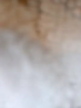 Snapshot of Radsj@xh chatting on December 17, 7:42 pm Radsjxh online show from December 17, 7:42 pm