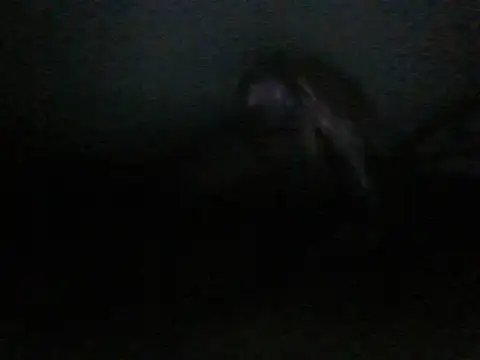 itachi thebro1 online show from June 10, 4:12 am
