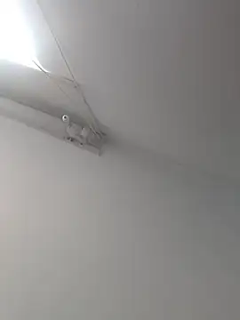 Snapshot of Tattoboy19cm chatting on October 19, 8:09 pm Tattoboy19cm online show from October 19, 8:09 pm