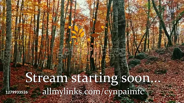 Snapshot of Cynpai chatting on November 17, 4:29 am Cynpai online show from November 17, 4:29 am