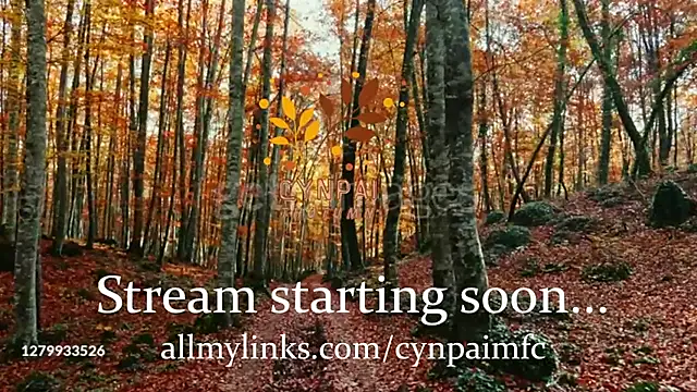 Snapshot of Cynpai chatting on November 18, 5:12 am Cynpai online show from November 18, 5:12 am
