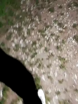 Snapshot of ARTANIS20 chatting on October 21, 8:20 pm ARTANIS20 online show from October 21, 8:20 pm