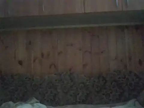 Snapshot of Maksymilian1 chatting on November 11, 8:36 am Maksymilian1 online show from November 11, 8:36 am