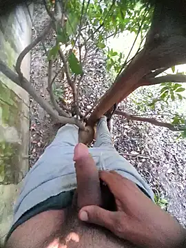 Snapshot of Desi_Horny_Boys chatting on November 18, 5:45 am Desi Horny Boys online show from November 18, 5:45 am