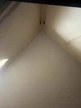 curis4270panda online show from November 26, 1:50 am