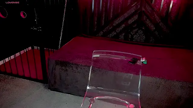 Snapshot of LiviaShy chatting on December 2, 2:45 pm LiviaShy online show from December 2, 2:45 pm