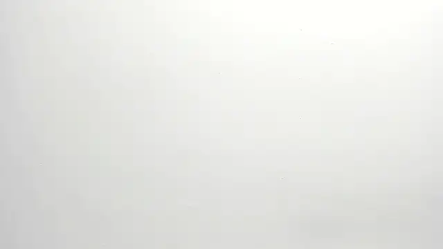 Snapshot of ximena_vasquez8 chatting on December 17, 3:01 am ximena vasquez8 online show from December 17, 3:01 am