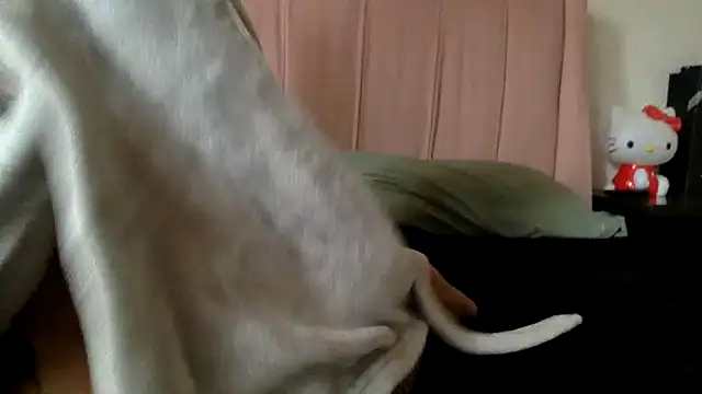 Snapshot of Akanett_cxtt chatting on October 11, 8:51 pm Akanett cxtt online show from October 11, 8:51 pm