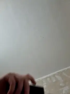 gazb90 online show from February 9, 11:58 am