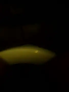 Cock4LadiesONLY online show from October 11, 2:48 pm