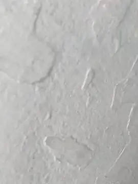 yaraa49 online show from October 23, 5:07 am