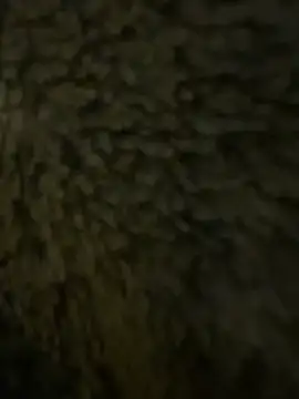 anonimgirl18old online show from February 21, 6:31 pm