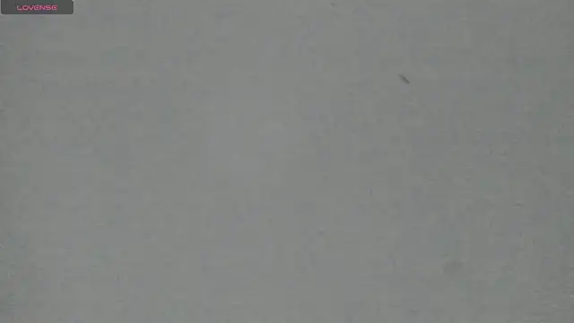 Snapshot of Sophia_Ebony chatting on May 5, 12:13 pm Sophia Ebony online show from May 5, 12:13 pm