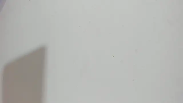Snapshot of Sophia_Ebony chatting on May 15, 12:12 pm Sophia Ebony online show from May 15, 12:12 pm