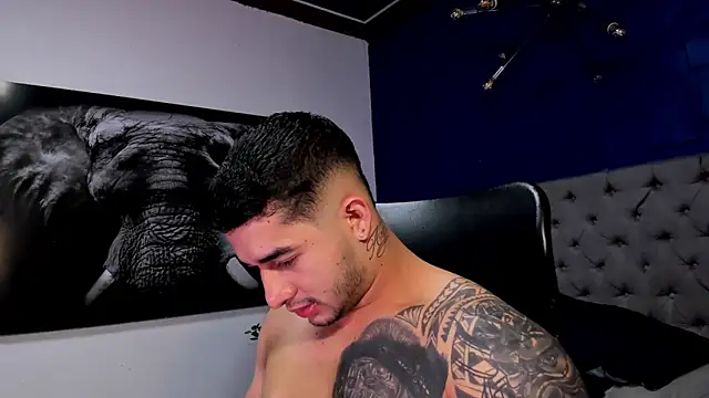 king falconer online show from December 19, 12:50 am