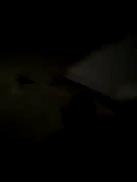 freedmar online show from November 5, 11:32 am