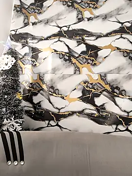 Snapshot of Hiroshi_Shen chatting on December 19, 1:07 pm Hiroshi Shen online show from December 19, 1:07 pm