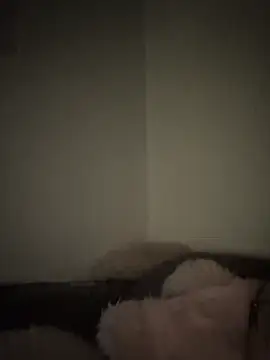 Snapshot of Bimalehung chatting on November 16, 2:06 am Bimalehung online show from November 16, 2:06 am